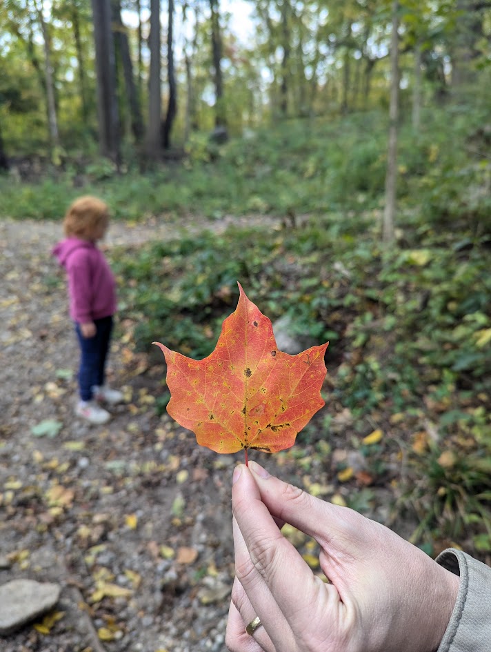Emily VL - leaf with child in background